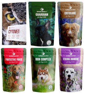 Daganatos kutya és macska