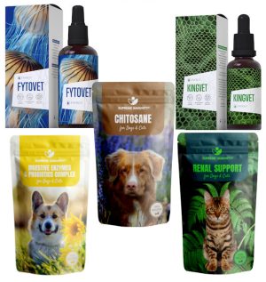 Idült veseelégtelenség (5)