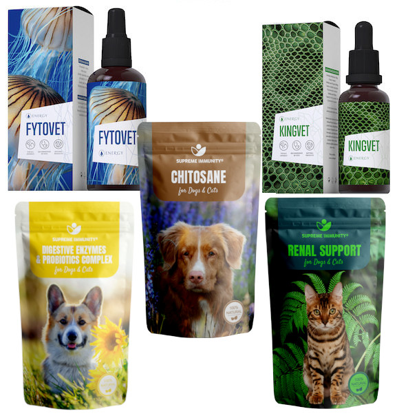 Idült veseelégtelenség (5)