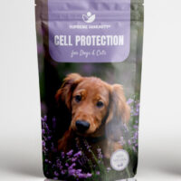 CELL PROTECTION
