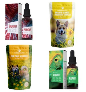 Húgyúti gyulladások