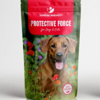 PROTECTIVE FORCE