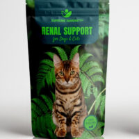 RENAL SUPPORT