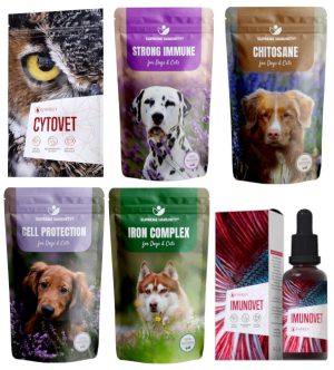 Kutya Daganatos betegségek