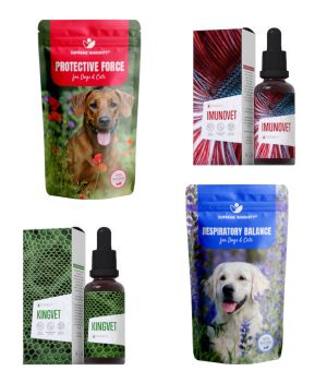 Légzőszervi betegségek