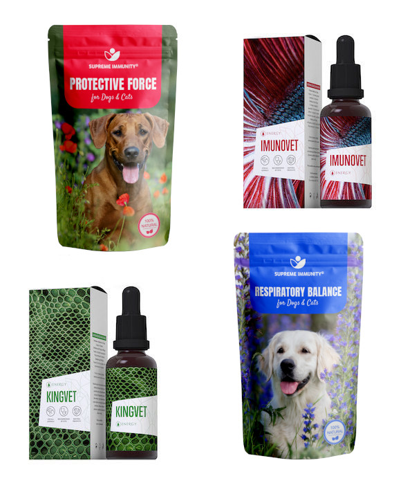 Légzőszervi betegségek