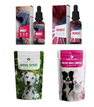 VÍRUSOS FERTŐZÉSEK (4)