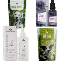 Fül (Külső hallójárat) (4)