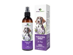 bolha spray