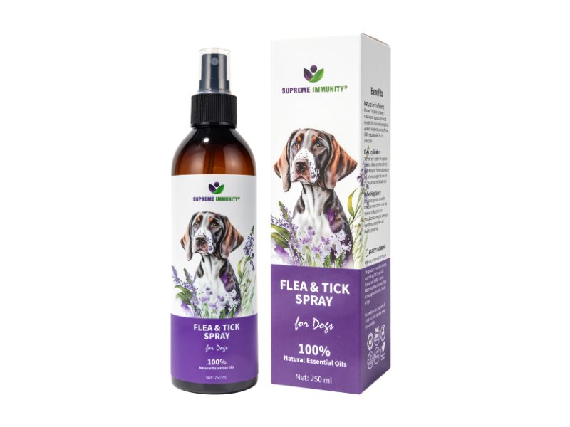 bolha spray