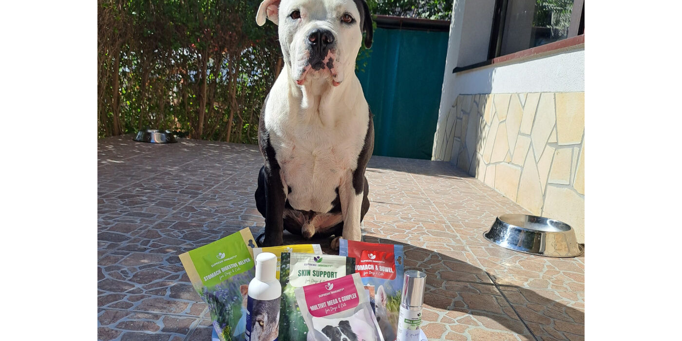 20230917_113052 kutya allergia