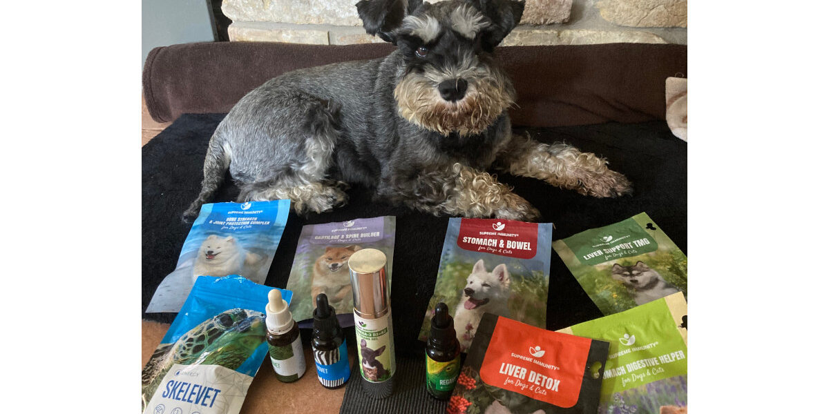 IMG-8061 bélbugyogás