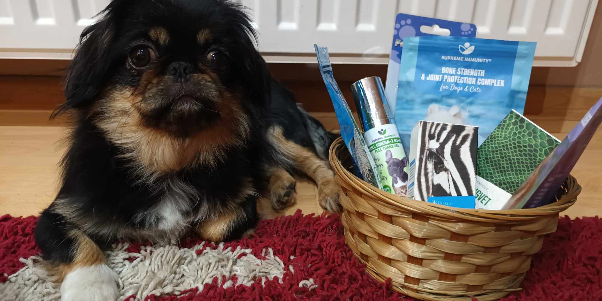 Panna Kutya mozgásszervi probléma