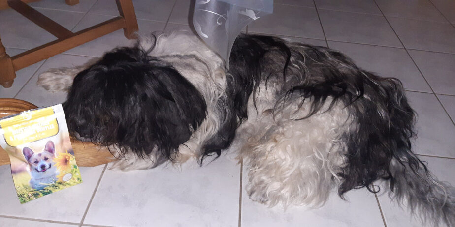 20240211_065604 probiotikum