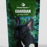 GUARDIAN