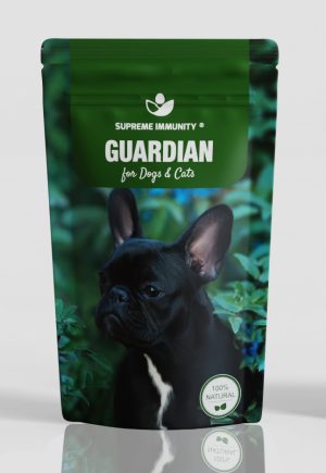 GUARDIAN