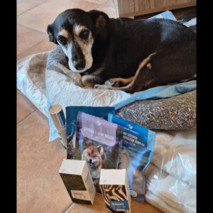 Tacskóbénulás gyors javulása