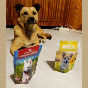 áteresztő bél szindróma