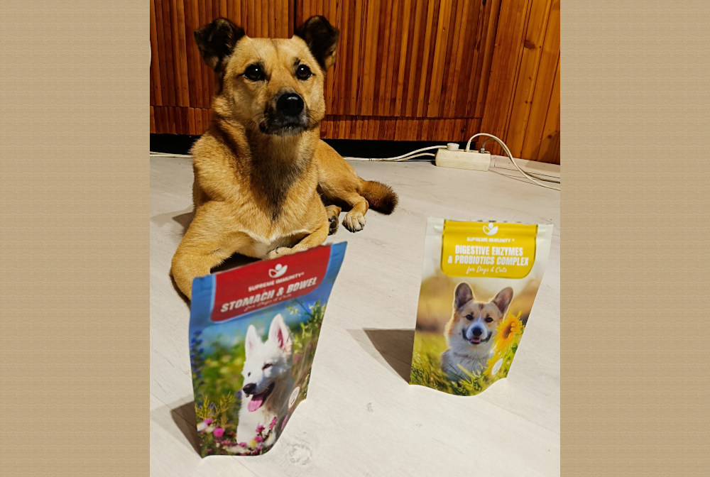 áteresztő bél szindróma