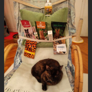 cica húgyúti betegség