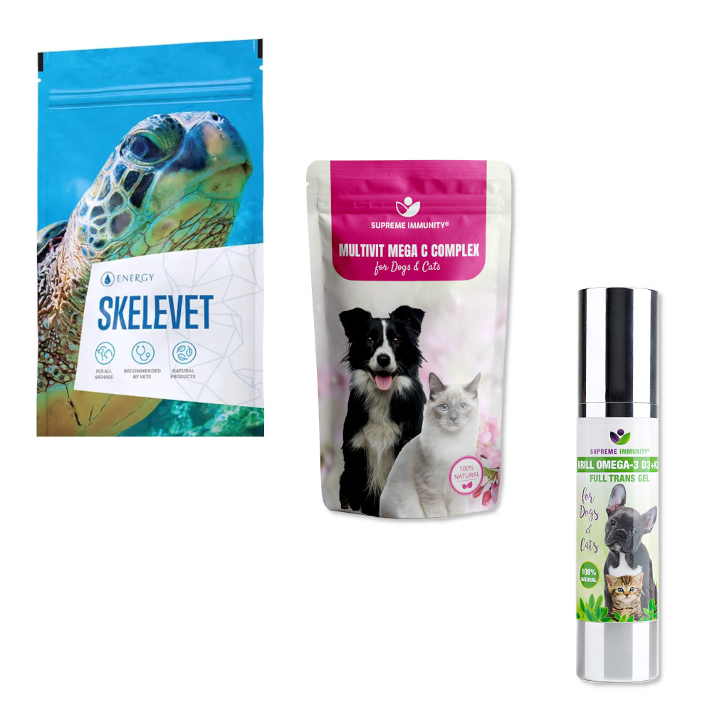 Kölykök fejlődése