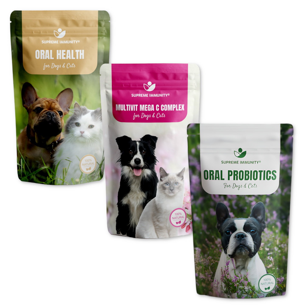 SZÁJÜREG EGÉSZSÉG