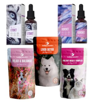 IDEGRENDSZERI RENDELLENESSÉGEK, EPILEPSZIÁK (5)