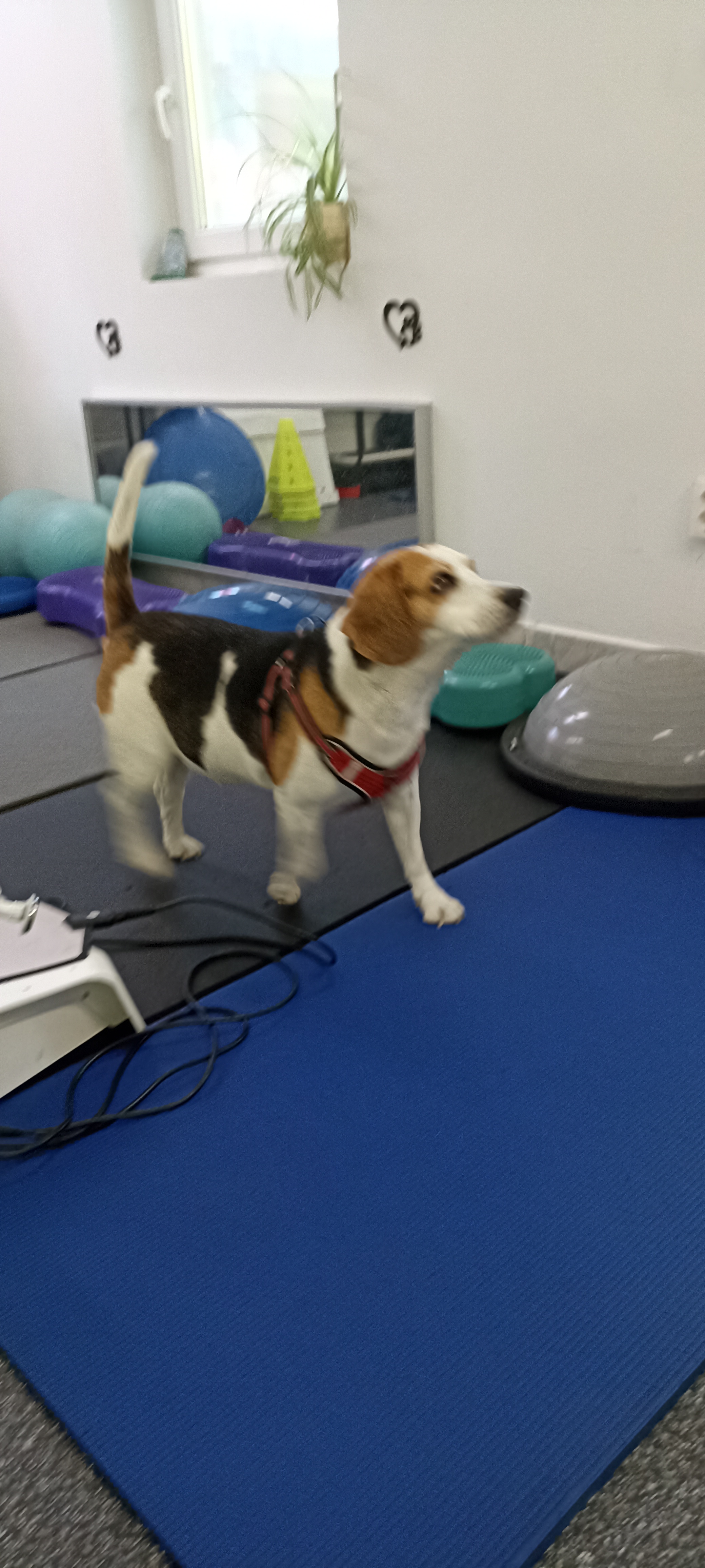 Image #1 from Ernő Ember