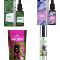 Szívelégtelenség (4)