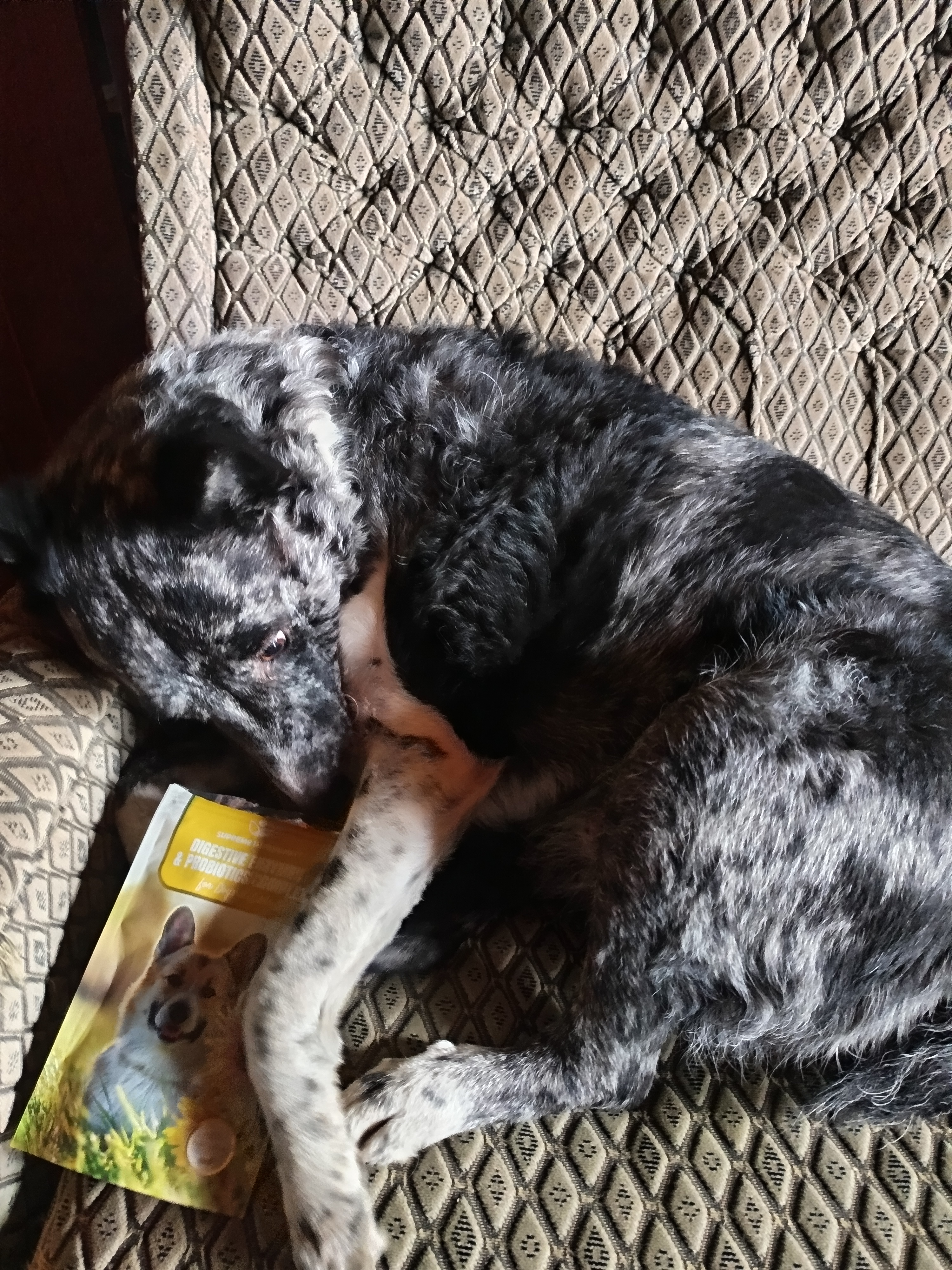 Image #1 from Istvánné Hári