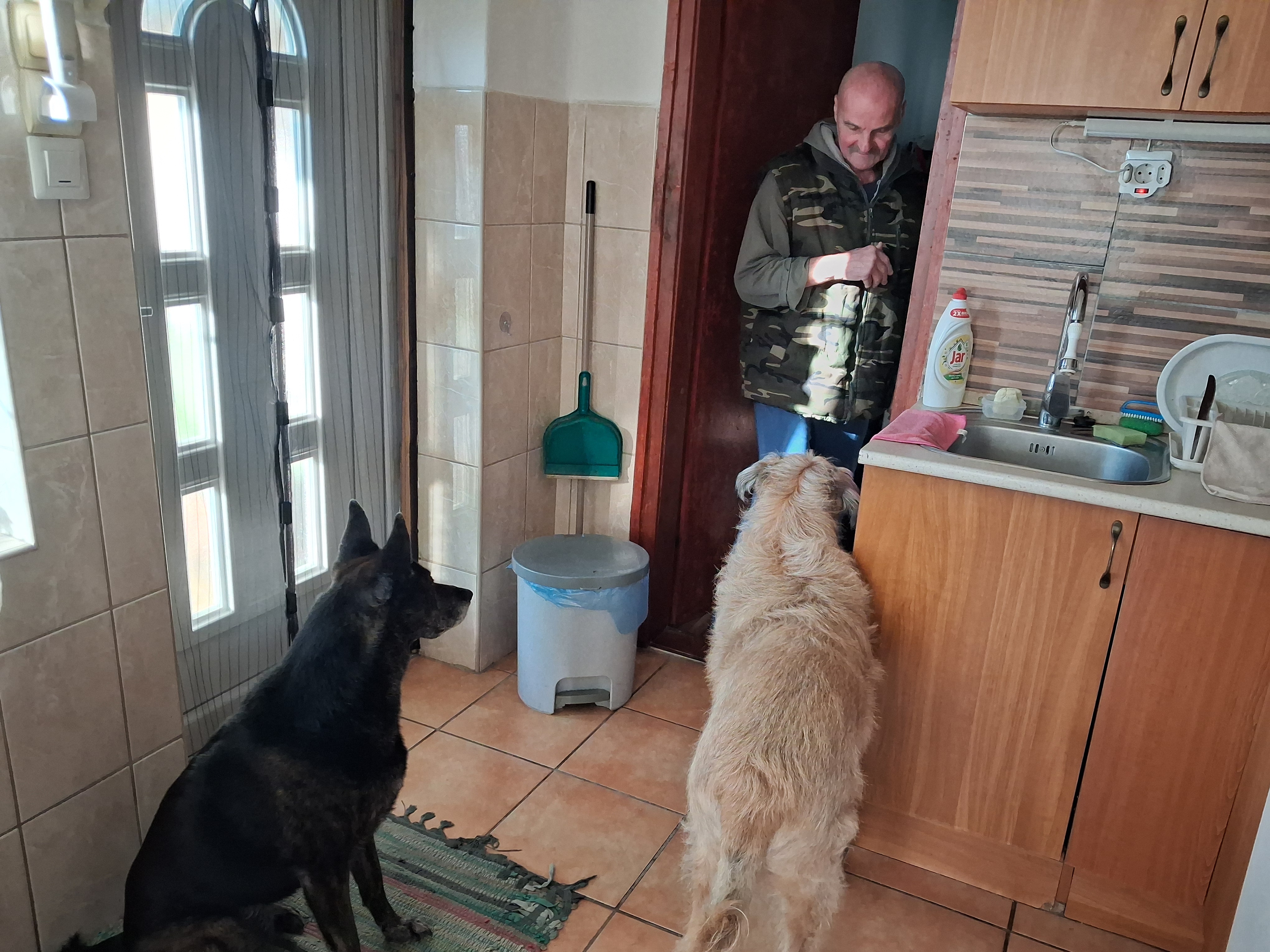 Image #1 from Istvánné V.