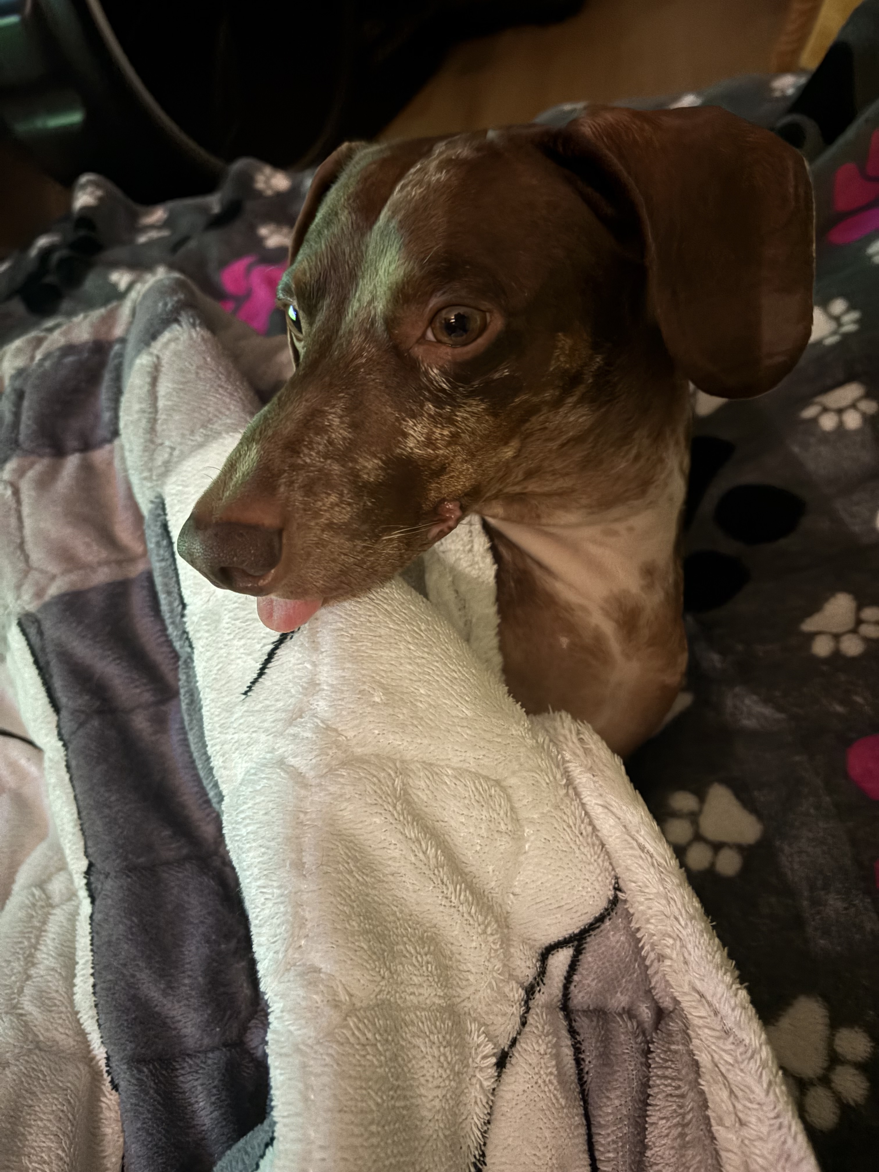 Image #1 from Alexandra