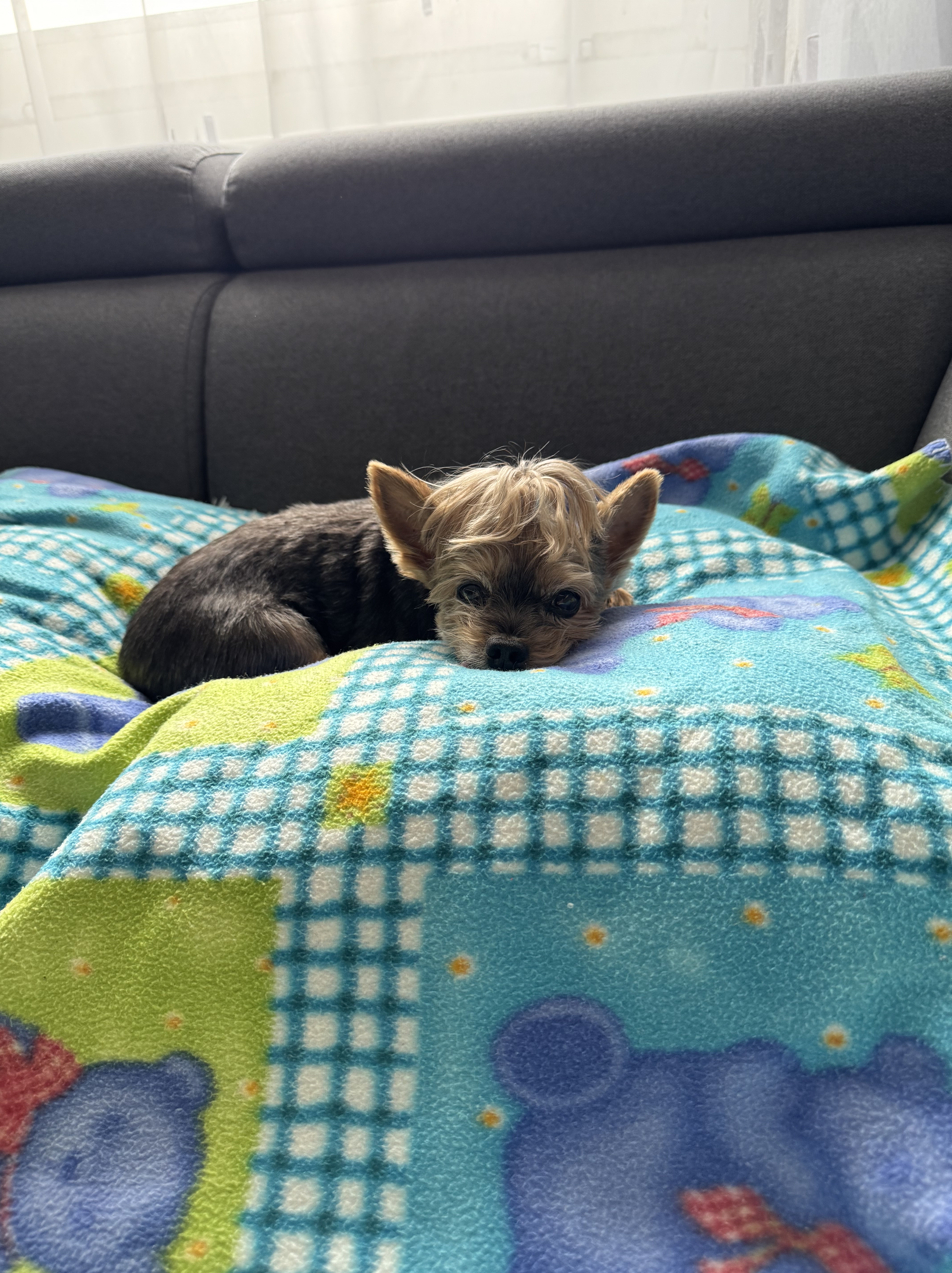 Image #1 from Edina Varga