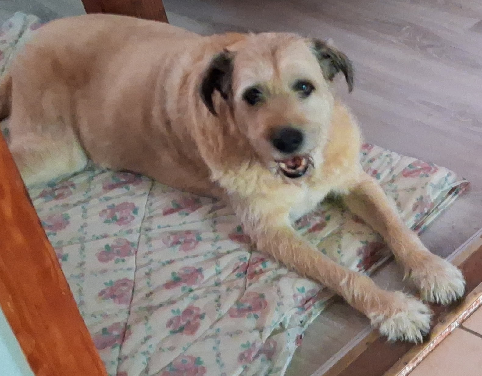 Image #1 from Istvánné V.