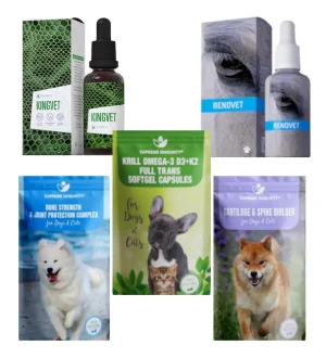 EGÉSZSÉGES MOZGÁSSZERVEK I. (5) - k