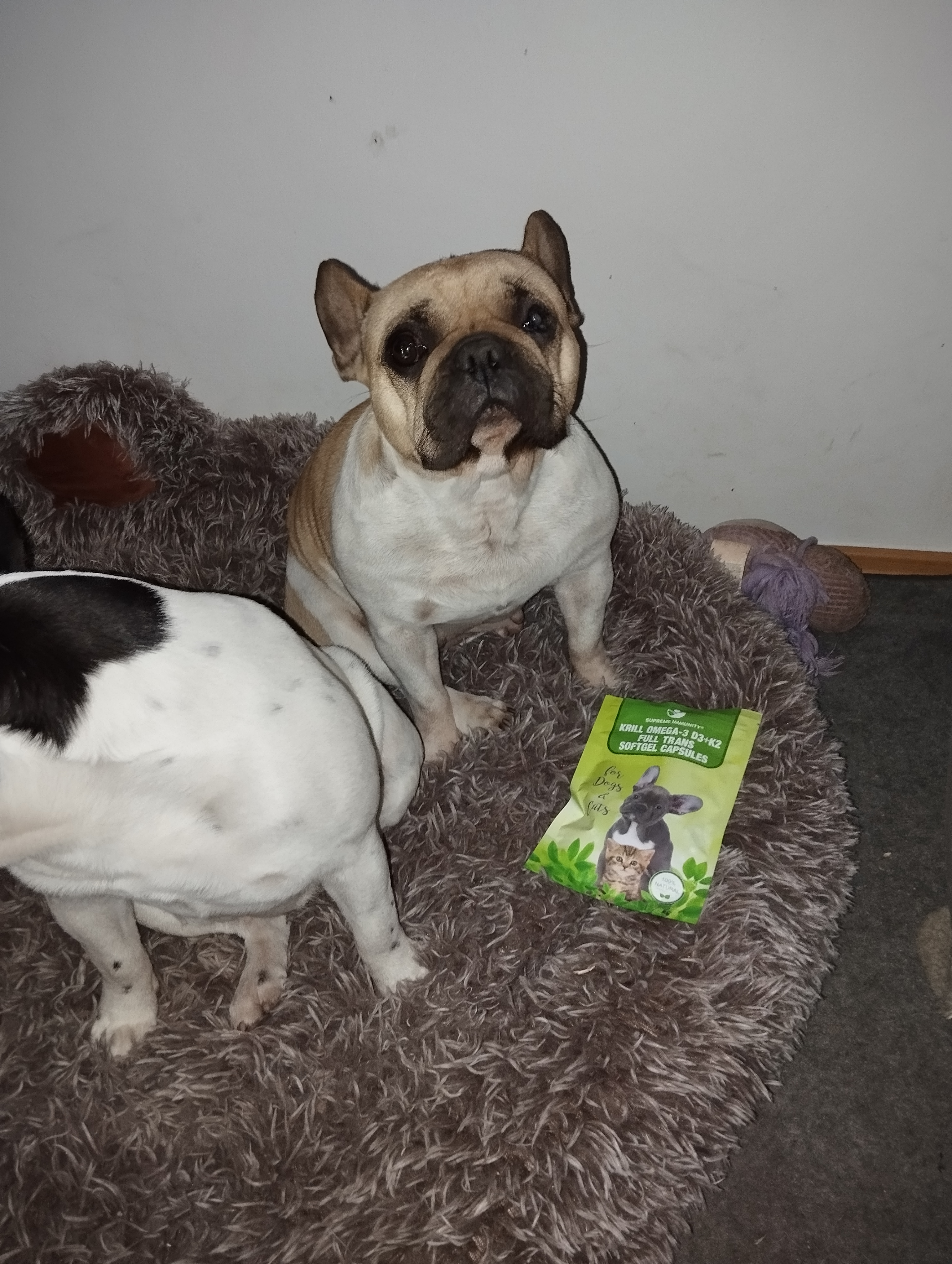 Image #1 from Zoltánné A.