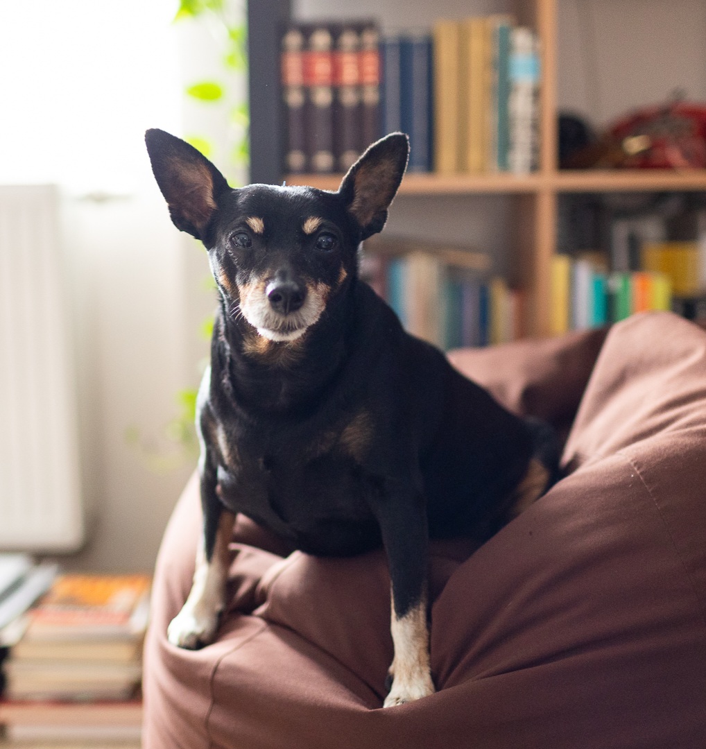 Image #2 from Orsolya