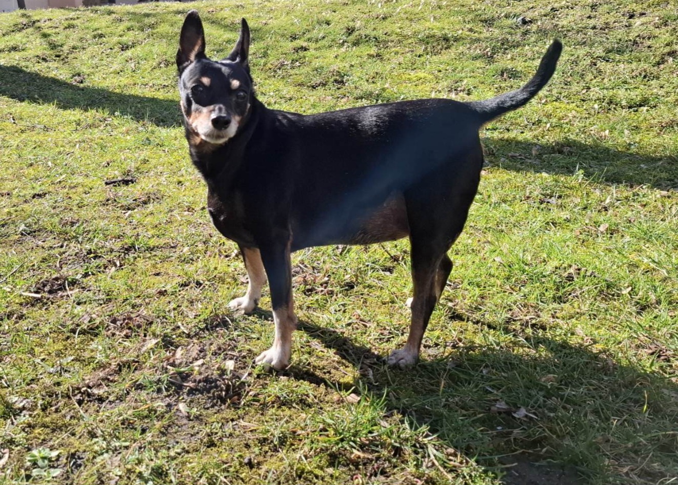 Image #1 from Orsolya