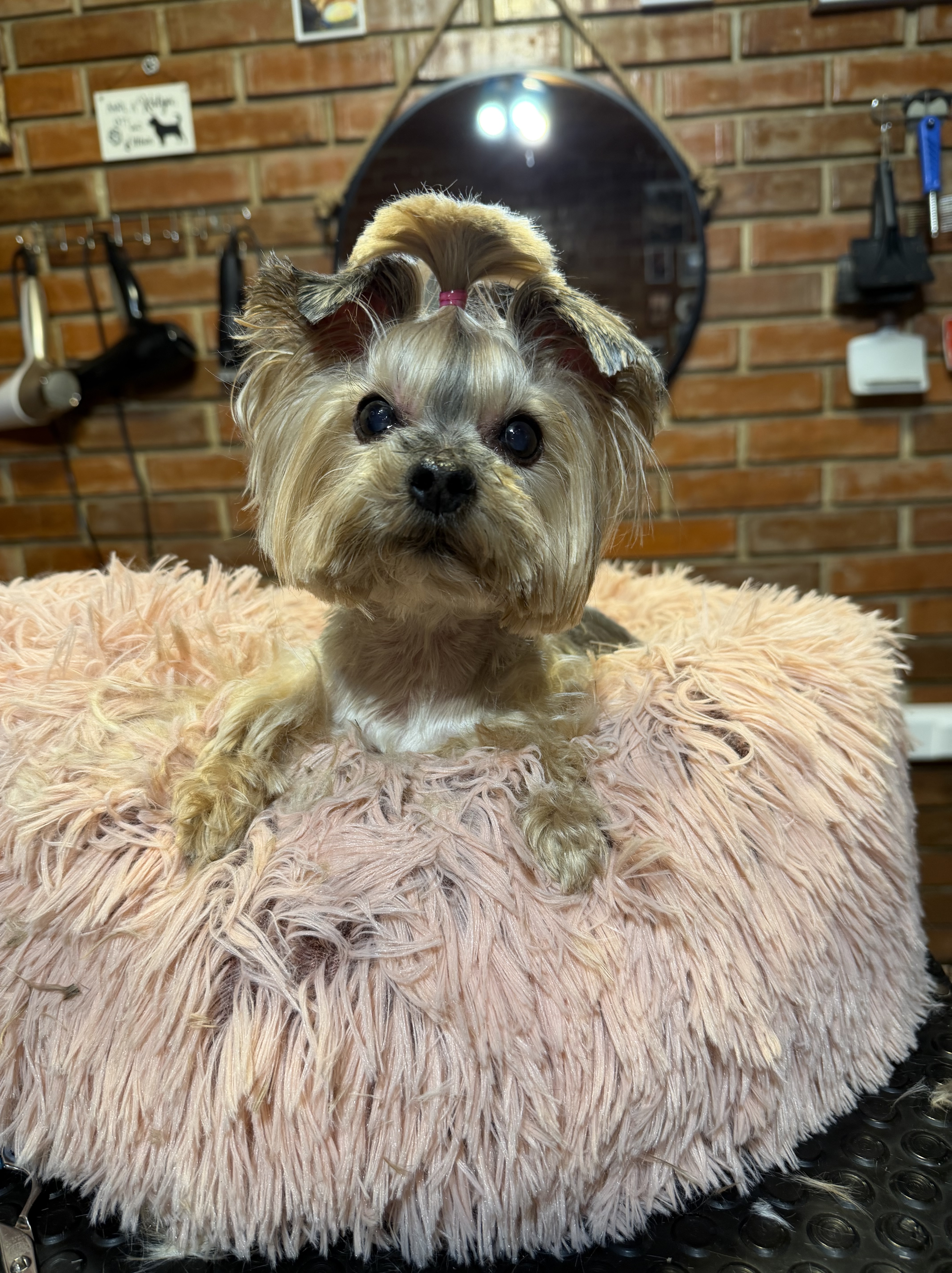 Image #1 from Molnár Tímea