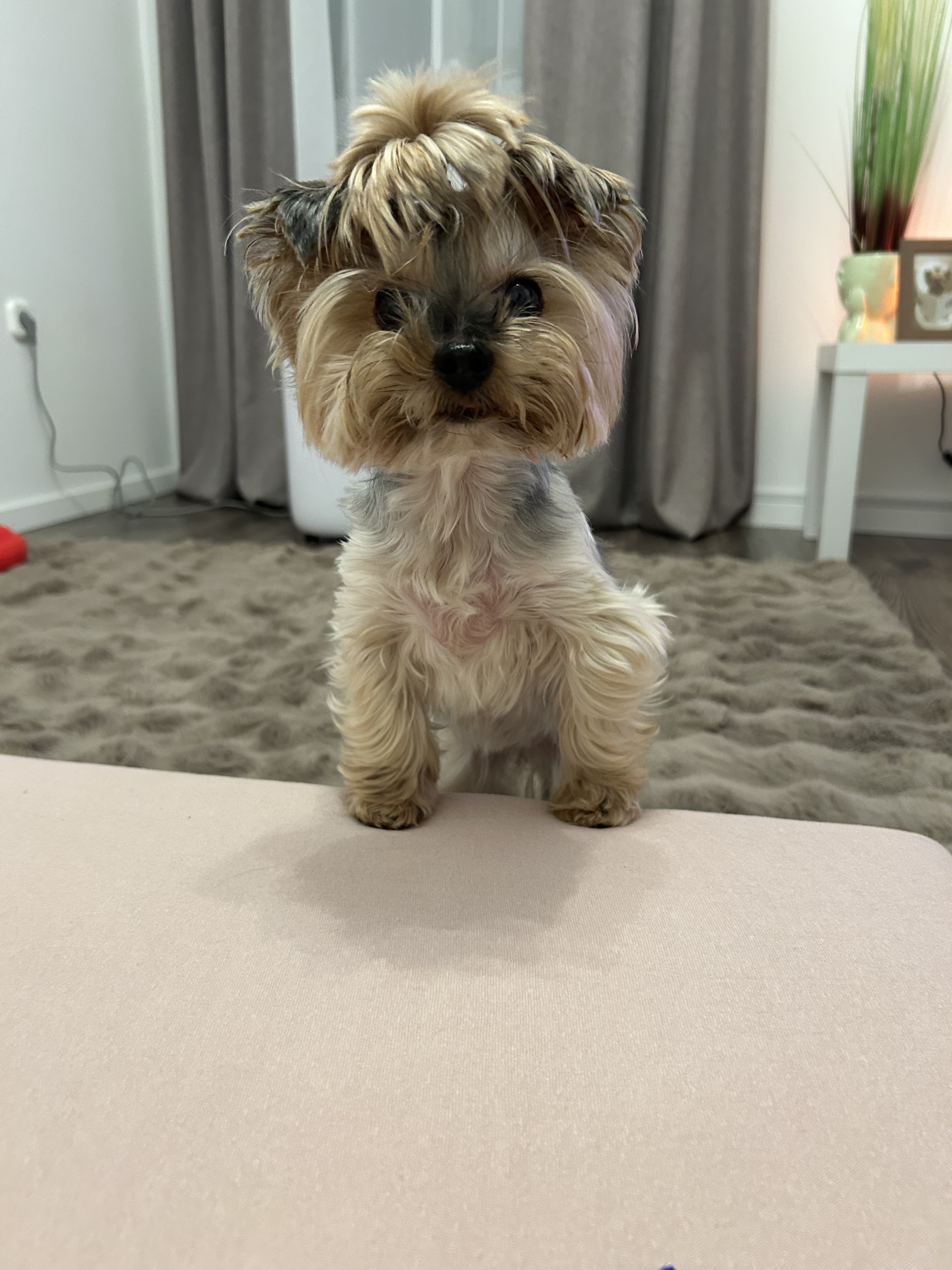 Image #1 from Molnár Tímea