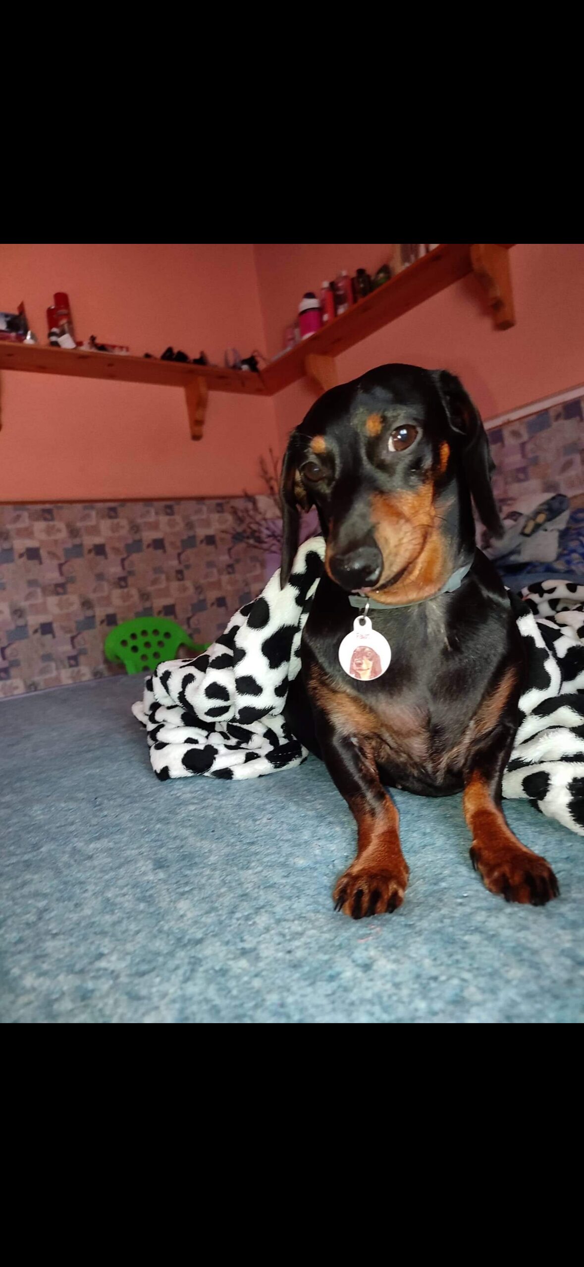 Image #1 from Szilvia Polgárné Nagy