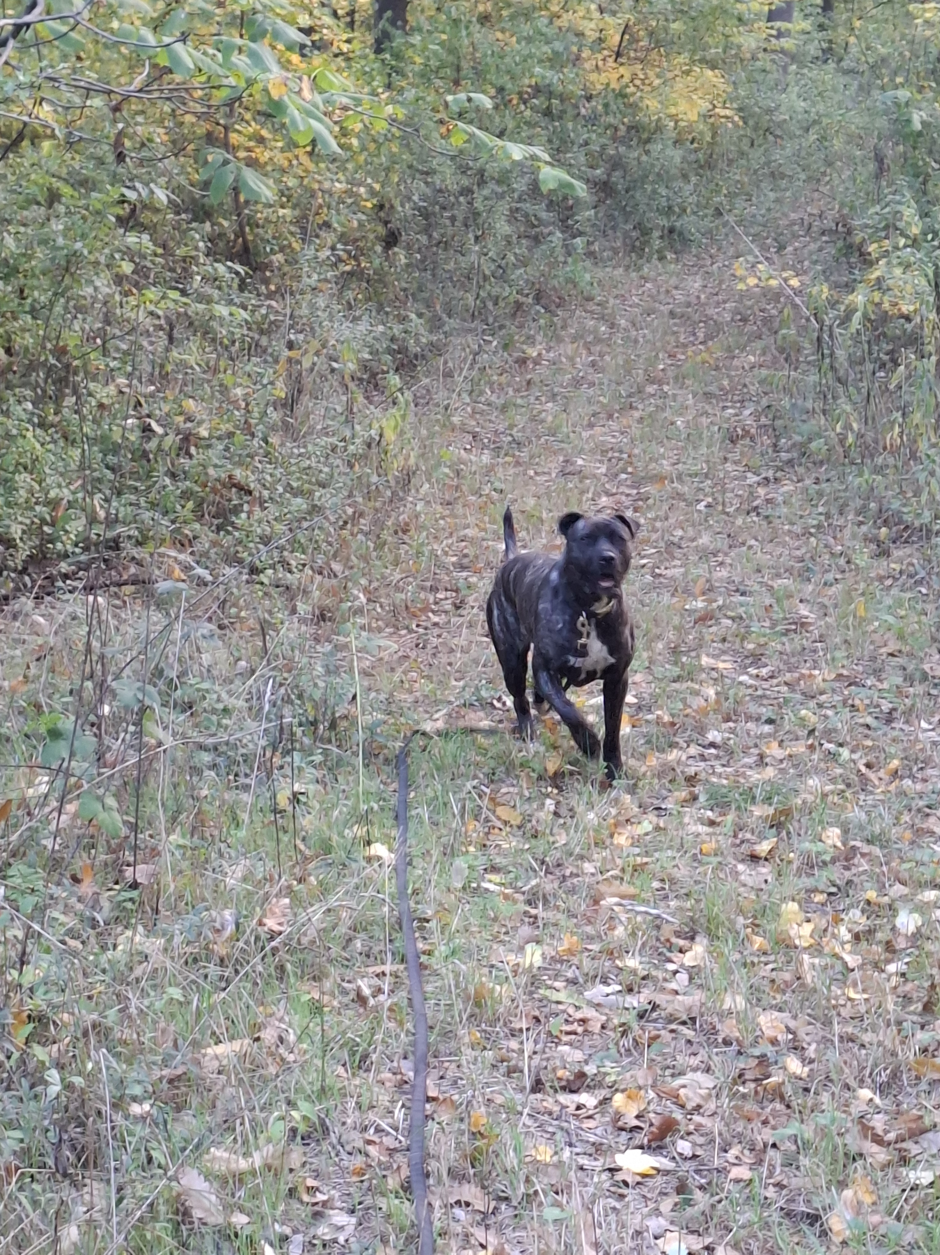 Image #1 from Névtelen